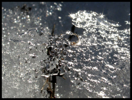 Ice Filigree