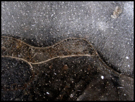 Ice Abstract
