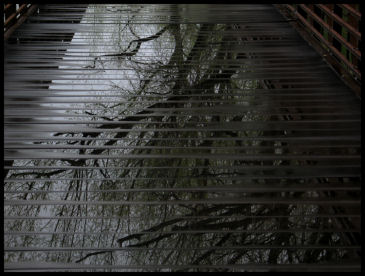 Reflections on Poudre Bridge