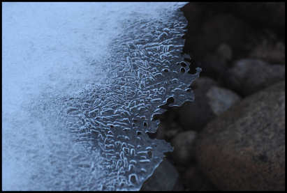 Fragile Ice