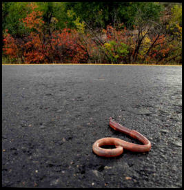 Uncertain Journey