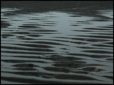Tidal Abstract