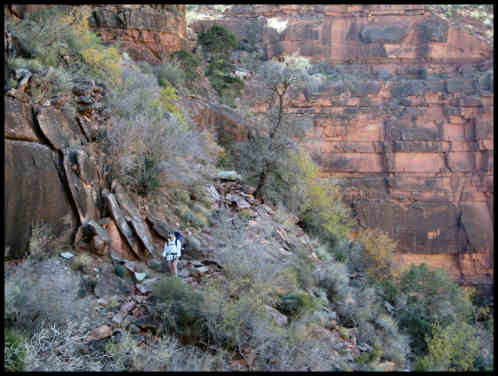 Mary Lea Descends Hermit Trail