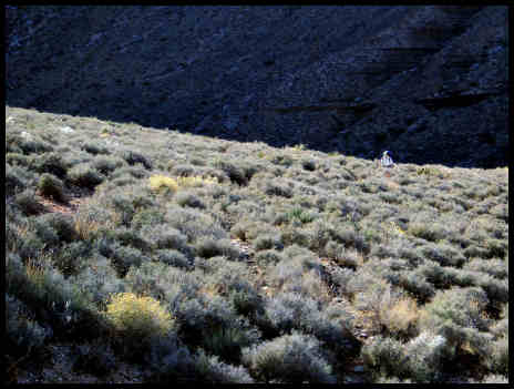 Mary Lea on Tonto Trail