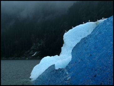 Ice Landscape