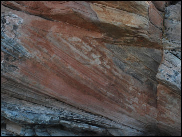 The rock background is Lyons sandstone