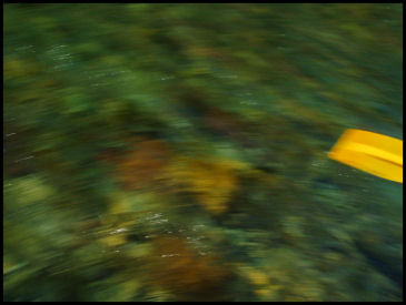 River Motion Abstract