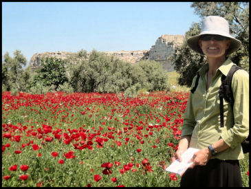 Debbie in a field of poppies near Selçuk Turkey