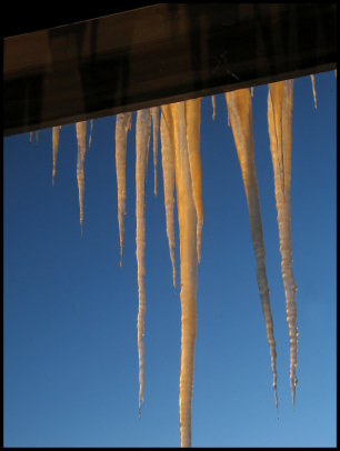 Morning Light on Icicles