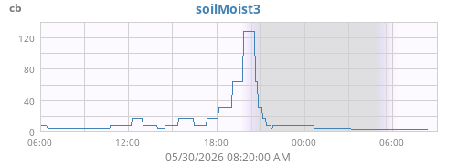 daymoistsoil